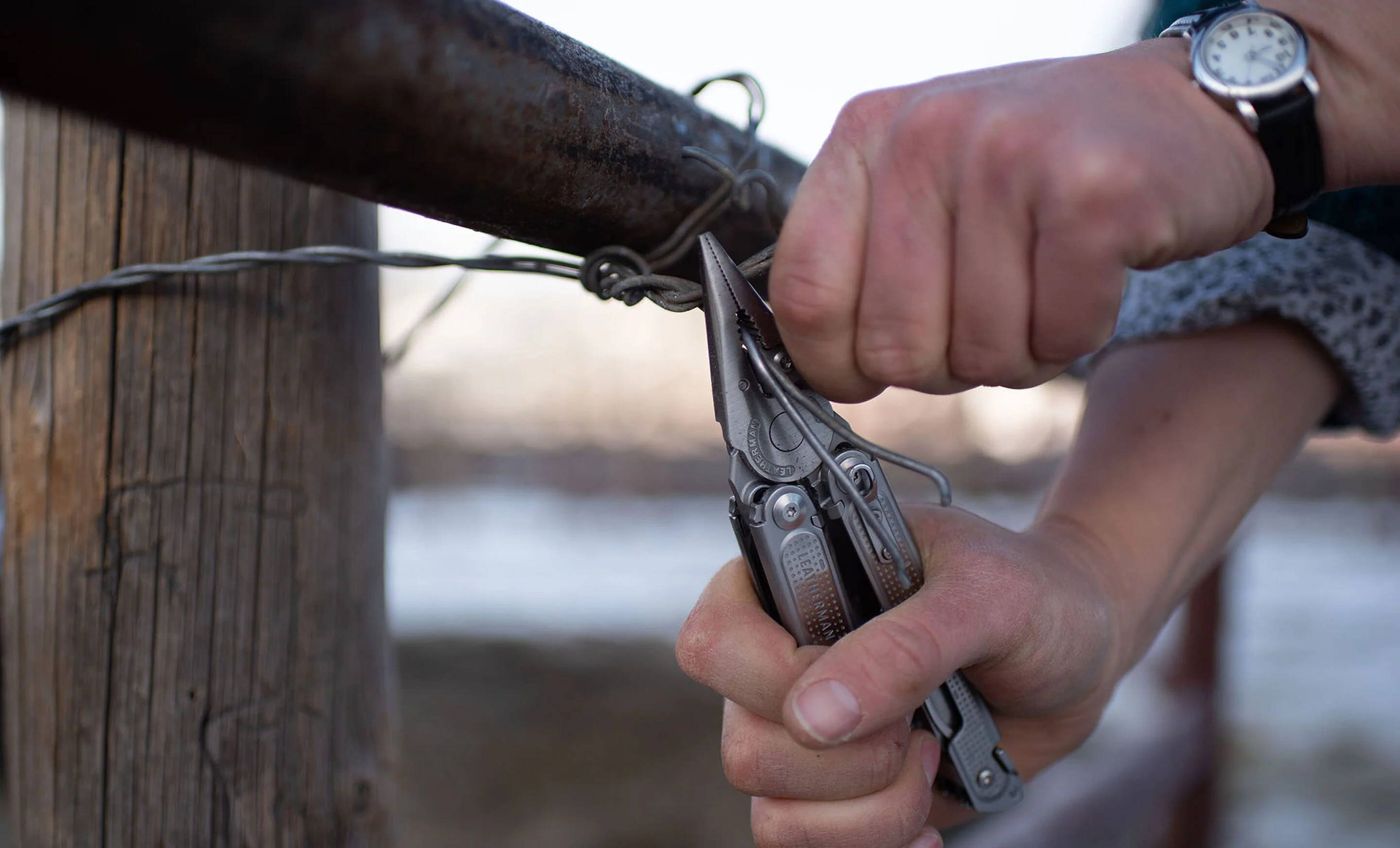 FREE® P4 - Image 5