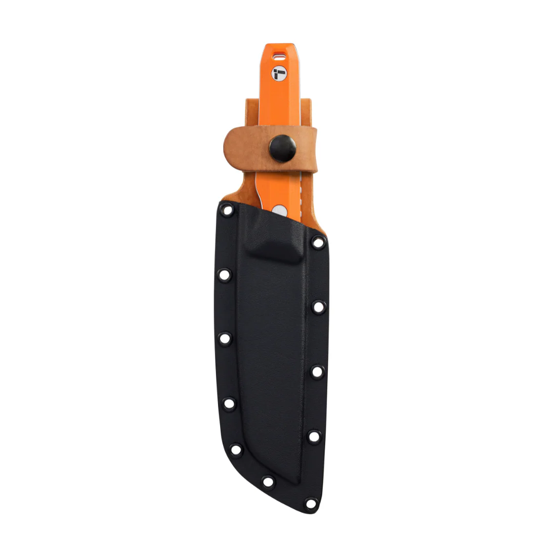 Pioneer™ - Image 4